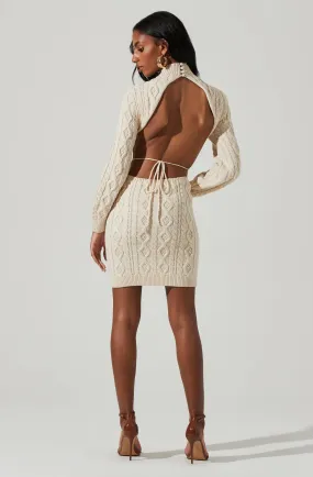 Abby Cable Knit Sweater Mini Dress